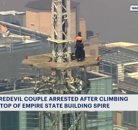 Daredevil proposal